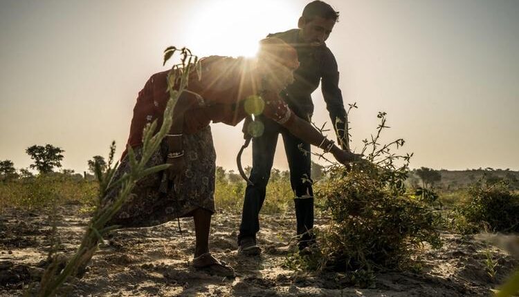 new biodegradable guar