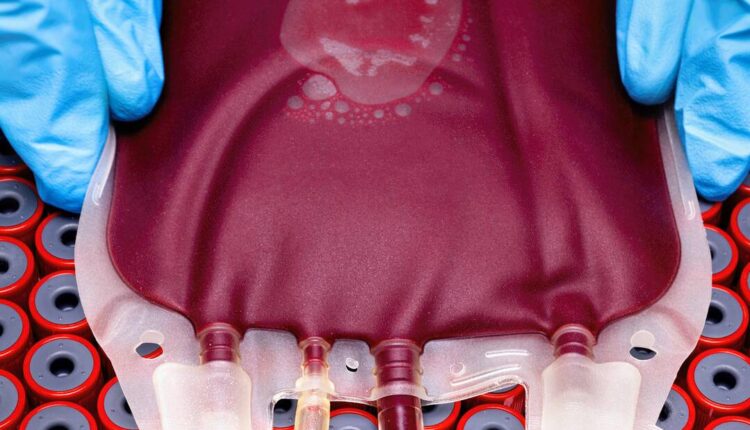 Building A Better Blood Bag.